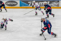 Deutsche Frauen Eishockey Bundesliga - Final-Four-Turnier - Eisbären Juniors Berlin vs ESC Planegg am 14.03.2021 in Füssen, Bundesleistungszentrum für Eishockey und Curling, Am Eisstadion 1, 87629 Füssen, Deutschland, Photo: Michael Kahms @MIKAH-Fotografie.de