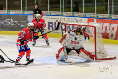 Deutsche Frauen Eishockey Bundesliga - ESC Planegg vs. ECDC Memmingen Indians am 09.01.2021 in Miesbach, Eisstadion TEV Miesbach, Tölzer Straße 3 83714 Miesbach, Deutschland, Photo: Michael Kahms @MIKAH-Fotografie.de