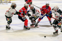 Deutsche Frauen Eishockey Bundesliga - ESC Planegg vs. ECDC Memmingen Indians am 09.01.2021 in Miesbach, Eisstadion TEV Miesbach, Tölzer Straße 3 83714 Miesbach, Deutschland, Photo: Michael Kahms @MIKAH-Fotografie.de