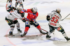 Deutsche Frauen Eishockey Bundesliga - ESC Planegg vs. ECDC Memmingen Indians am 09.01.2021 in Miesbach, Eisstadion TEV Miesbach, Tölzer Straße 3 83714 Miesbach, Deutschland, Photo: Michael Kahms @MIKAH-Fotografie.de
