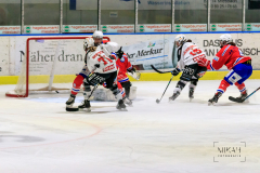 Deutsche Frauen Eishockey Bundesliga - ESC Planegg vs. ECDC Memmingen Indians am 09.01.2021 in Miesbach, Eisstadion TEV Miesbach, Tölzer Straße 3 83714 Miesbach, Deutschland, Photo: Michael Kahms @MIKAH-Fotografie.de