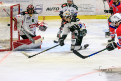 Deutsche Frauen Eishockey Bundesliga - ESC Planegg vs. ECDC Memmingen Indians am 09.01.2021 in Miesbach, Eisstadion TEV Miesbach, Tölzer Straße 3 83714 Miesbach, Deutschland, Photo: Michael Kahms @MIKAH-Fotografie.de