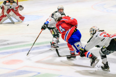 Deutsche Frauen Eishockey Bundesliga - ESC Planegg vs. ECDC Memmingen Indians am 09.01.2021 in Miesbach, Eisstadion TEV Miesbach, Tölzer Straße 3 83714 Miesbach, Deutschland, Photo: Michael Kahms @MIKAH-Fotografie.de