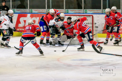 Deutsche Frauen Eishockey Bundesliga - ESC Planegg vs. ECDC Memmingen Indians am 09.01.2021 in Miesbach, Eisstadion TEV Miesbach, Tölzer Straße 3 83714 Miesbach, Deutschland, Photo: Michael Kahms @MIKAH-Fotografie.de