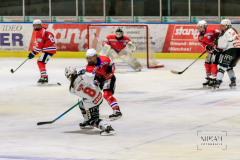 Deutsche Frauen Eishockey Bundesliga - ESC Planegg vs. ECDC Memmingen Indians am 09.01.2021 in Miesbach, Eisstadion TEV Miesbach, Tölzer Straße 3 83714 Miesbach, Deutschland, Photo: Michael Kahms @MIKAH-Fotografie.de