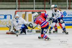 IMG_3035_ESC-Planegg_vs_ERC-Ingolstadt_2021-10-30