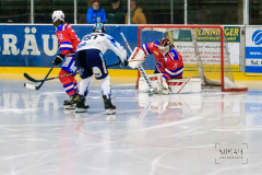 IMG_3450_ESC-Planegg_vs_ERC-Ingolstadt_2021-10-30