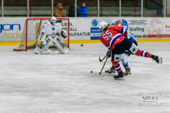 IMG_3649_ESC-Planegg_vs_ERC-Ingolstadt_2021-10-30