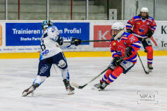 IMG_3682_ESC-Planegg_vs_ERC-Ingolstadt_2021-10-30