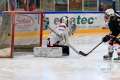 Deutsche Frauen Eishockey Bundesliga - 3. Finalspiel - ECDC Memmingen vs. ESC Planegg am 17.03.2019 in Memmingen, Eissporthalle am Hühnerberg, Deutschland, Photo: Michael Kahms @MIKAH-Fotografie.de