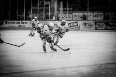 Deutsche Frauen Eishockey Bundesliga - 3. Finalspiel - ECDC Memmingen vs. ESC Planegg am 17.03.2019 in Memmingen, Eissporthalle am Hühnerberg, Deutschland, Photo: Michael Kahms @MIKAH-Fotografie.de