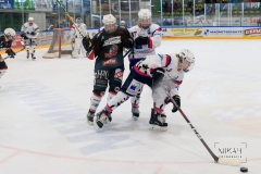 Deutsche Frauen Eishockey Bundesliga - 3. Finalspiel - ECDC Memmingen vs. ESC Planegg am 17.03.2019 in Memmingen, Eissporthalle am Hühnerberg, Deutschland, Photo: Michael Kahms @MIKAH-Fotografie.de
