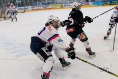 Deutsche Frauen Eishockey Bundesliga - 3. Finalspiel - ECDC Memmingen vs. ESC Planegg am 17.03.2019 in Memmingen, Eissporthalle am Hühnerberg, Deutschland, Photo: Michael Kahms @MIKAH-Fotografie.de