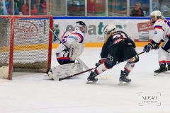 Deutsche Frauen Eishockey Bundesliga - 3. Finalspiel - ECDC Memmingen vs. ESC Planegg am 17.03.2019 in Memmingen, Eissporthalle am Hühnerberg, Deutschland, Photo: Michael Kahms @MIKAH-Fotografie.de