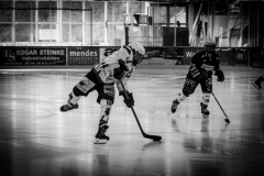 Deutsche Frauen Eishockey Bundesliga - 3. Finalspiel - ECDC Memmingen vs. ESC Planegg am 17.03.2019 in Memmingen, Eissporthalle am Hühnerberg, Deutschland, Photo: Michael Kahms @MIKAH-Fotografie.de