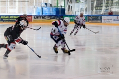 Deutsche Frauen Eishockey Bundesliga - 3. Finalspiel - ECDC Memmingen vs. ESC Planegg am 17.03.2019 in Memmingen, Eissporthalle am Hühnerberg, Deutschland, Photo: Michael Kahms @MIKAH-Fotografie.de