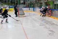 Deutsche Frauen Eishockey Bundesliga - 3. Finalspiel - ECDC Memmingen vs. ESC Planegg am 17.03.2019 in Memmingen, Eissporthalle am Hühnerberg, Deutschland, Photo: Michael Kahms @MIKAH-Fotografie.de