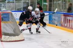 Deutsche Frauen Eishockey Bundesliga - 3. Finalspiel - ECDC Memmingen vs. ESC Planegg am 17.03.2019 in Memmingen, Eissporthalle am Hühnerberg, Deutschland, Photo: Michael Kahms @MIKAH-Fotografie.de