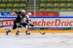 Deutsche Frauen Eishockey Bundesliga - 3. Finalspiel - ECDC Memmingen vs. ESC Planegg am 17.03.2019 in Memmingen, Eissporthalle am Hühnerberg, Deutschland, Photo: Michael Kahms @MIKAH-Fotografie.de