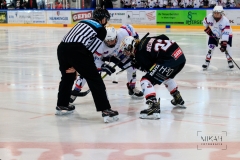Deutsche Frauen Eishockey Bundesliga - 3. Finalspiel - ECDC Memmingen vs. ESC Planegg am 17.03.2019 in Memmingen, Eissporthalle am Hühnerberg, Deutschland, Photo: Michael Kahms @MIKAH-Fotografie.de
