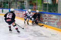 Deutsche Frauen Eishockey Bundesliga - 3. Finalspiel - ECDC Memmingen vs. ESC Planegg am 17.03.2019 in Memmingen, Eissporthalle am Hühnerberg, Deutschland, Photo: Michael Kahms @MIKAH-Fotografie.de
