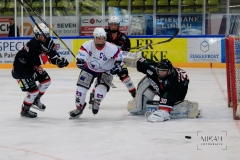 Deutsche Frauen Eishockey Bundesliga - 3. Finalspiel - ECDC Memmingen vs. ESC Planegg am 17.03.2019 in Memmingen, Eissporthalle am Hühnerberg, Deutschland, Photo: Michael Kahms @MIKAH-Fotografie.de