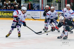 Deutsche Frauen Eishockey Bundesliga - 3. Finalspiel - ECDC Memmingen vs. ESC Planegg am 17.03.2019 in Memmingen, Eissporthalle am Hühnerberg, Deutschland, Photo: Michael Kahms @MIKAH-Fotografie.de