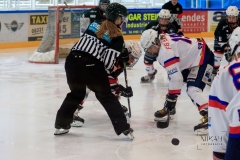 Deutsche Frauen Eishockey Bundesliga - 3. Finalspiel - ECDC Memmingen vs. ESC Planegg am 17.03.2019 in Memmingen, Eissporthalle am Hühnerberg, Deutschland, Photo: Michael Kahms @MIKAH-Fotografie.de