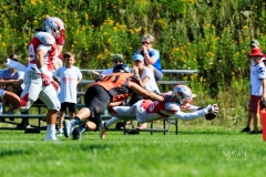 IMG_1605_Fursty_Razorbacks_vs_Muenchen_Rangers_2019_08_04
