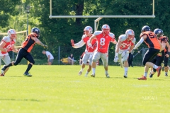 IMG_1698_Fursty_Razorbacks_vs_Muenchen_Rangers_2019_08_04