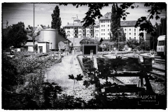 IMG_5657_Lindau_2020-06-08-Bearbeitet