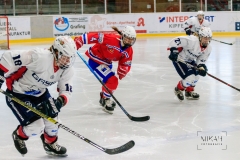 Deutsche Frauen Eishockey Bundesliga - ESC Planegg vs. Eisbären Juniors Berlin am 22.02.2020 in Grafing, Eissporthalle des EHC Klostersee, Deutschland, Photo: Michael Kahms @MIKAH-Fotografie.de