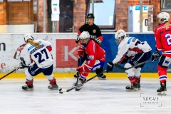 Deutsche Frauen Eishockey Bundesliga - ESC Planegg vs. Eisbären Juniors Berlin am 22.02.2020 in Grafing, Eissporthalle des EHC Klostersee, Deutschland, Photo: Michael Kahms @MIKAH-Fotografie.de