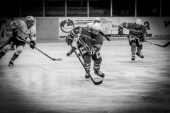 Deutsche Frauen Eishockey Bundesliga - ESC Planegg vs. Eisbären Juniors Berlin am 22.02.2020 in Grafing, Eissporthalle des EHC Klostersee, Deutschland, Photo: Michael Kahms @MIKAH-Fotografie.de
