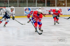 Deutsche Frauen Eishockey Bundesliga - ESC Planegg vs. Eisbären Juniors Berlin am 22.02.2020 in Grafing, Eissporthalle des EHC Klostersee, Deutschland, Photo: Michael Kahms @MIKAH-Fotografie.de
