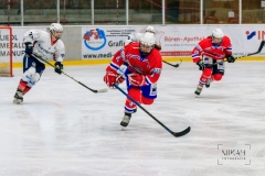 Deutsche Frauen Eishockey Bundesliga - ESC Planegg vs. Eisbären Juniors Berlin am 22.02.2020 in Grafing, Eissporthalle des EHC Klostersee, Deutschland, Photo: Michael Kahms @MIKAH-Fotografie.de