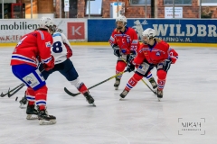 Deutsche Frauen Eishockey Bundesliga - ESC Planegg vs. Eisbären Juniors Berlin am 22.02.2020 in Grafing, Eissporthalle des EHC Klostersee, Deutschland, Photo: Michael Kahms @MIKAH-Fotografie.de