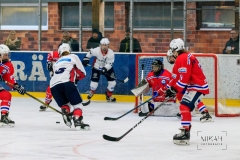 Deutsche Frauen Eishockey Bundesliga - ESC Planegg vs. Eisbären Juniors Berlin am 22.02.2020 in Grafing, Eissporthalle des EHC Klostersee, Deutschland, Photo: Michael Kahms @MIKAH-Fotografie.de