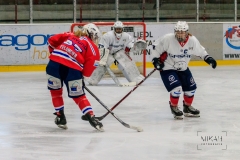 Deutsche Frauen Eishockey Bundesliga - ESC Planegg vs. Eisbären Juniors Berlin am 22.02.2020 in Grafing, Eissporthalle des EHC Klostersee, Deutschland, Photo: Michael Kahms @MIKAH-Fotografie.de