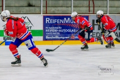 Deutsche Frauen Eishockey Bundesliga - ESC Planegg vs. Eisbären Juniors Berlin am 22.02.2020 in Grafing, Eissporthalle des EHC Klostersee, Deutschland, Photo: Michael Kahms @MIKAH-Fotografie.de