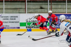 Deutsche Frauen Eishockey Bundesliga - ESC Planegg vs. Eisbären Juniors Berlin am 22.02.2020 in Grafing, Eissporthalle des EHC Klostersee, Deutschland, Photo: Michael Kahms @MIKAH-Fotografie.de