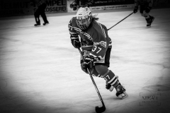 Deutsche Frauen Eishockey Bundesliga - ESC Planegg vs. Eisbären Juniors Berlin am 22.02.2020 in Grafing, Eissporthalle des EHC Klostersee, Deutschland, Photo: Michael Kahms @MIKAH-Fotografie.de