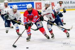 Deutsche Frauen Eishockey Bundesliga - ESC Planegg vs. Eisbären Juniors Berlin am 22.02.2020 in Grafing, Eissporthalle des EHC Klostersee, Deutschland, Photo: Michael Kahms @MIKAH-Fotografie.de