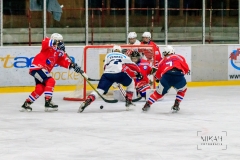 Deutsche Frauen Eishockey Bundesliga - ESC Planegg vs. Eisbären Juniors Berlin am 22.02.2020 in Grafing, Eissporthalle des EHC Klostersee, Deutschland, Photo: Michael Kahms @MIKAH-Fotografie.de