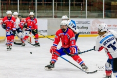 Deutsche Frauen Eishockey Bundesliga - ESC Planegg vs. Eisbären Juniors Berlin am 22.02.2020 in Grafing, Eissporthalle des EHC Klostersee, Deutschland, Photo: Michael Kahms @MIKAH-Fotografie.de