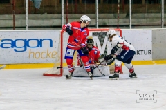 Deutsche Frauen Eishockey Bundesliga - ESC Planegg vs. Eisbären Juniors Berlin am 22.02.2020 in Grafing, Eissporthalle des EHC Klostersee, Deutschland, Photo: Michael Kahms @MIKAH-Fotografie.de
