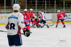 Deutsche Frauen Eishockey Bundesliga - ESC Planegg vs. Eisbären Juniors Berlin am 22.02.2020 in Grafing, Eissporthalle des EHC Klostersee, Deutschland, Photo: Michael Kahms @MIKAH-Fotografie.de