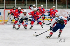 Deutsche Frauen Eishockey Bundesliga - ESC Planegg vs. Eisbären Juniors Berlin am 22.02.2020 in Grafing, Eissporthalle des EHC Klostersee, Deutschland, Photo: Michael Kahms @MIKAH-Fotografie.de