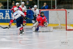 Deutsche Frauen Eishockey Bundesliga - ESC Planegg vs. Eisbären Juniors Berlin am 22.02.2020 in Grafing, Eissporthalle des EHC Klostersee, Deutschland, Photo: Michael Kahms @MIKAH-Fotografie.de