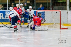 Deutsche Frauen Eishockey Bundesliga - ESC Planegg vs. Eisbären Juniors Berlin am 22.02.2020 in Grafing, Eissporthalle des EHC Klostersee, Deutschland, Photo: Michael Kahms @MIKAH-Fotografie.de